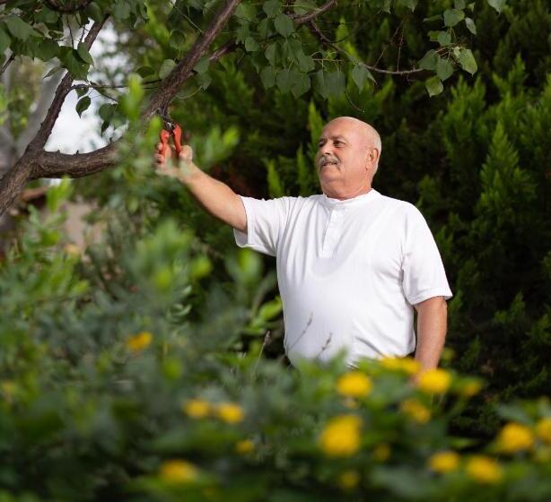 בית מלון כפרי Petrino Eco Village