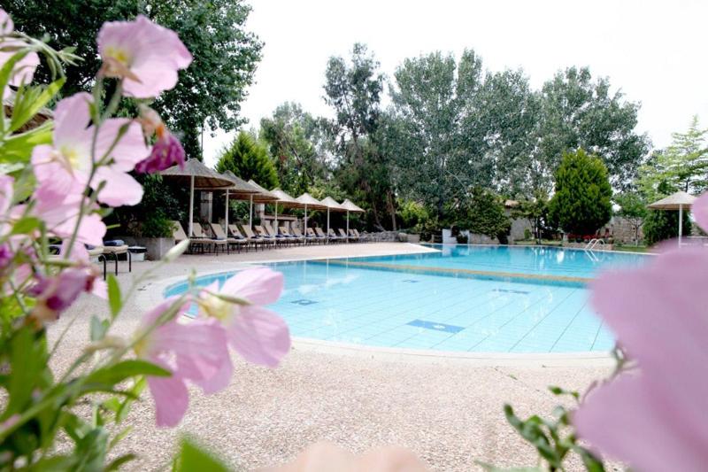 בית מלון כפרי Petrino Eco Village