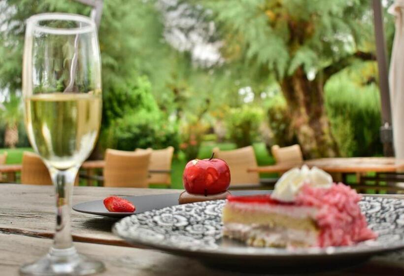 Отель Plaza Resort