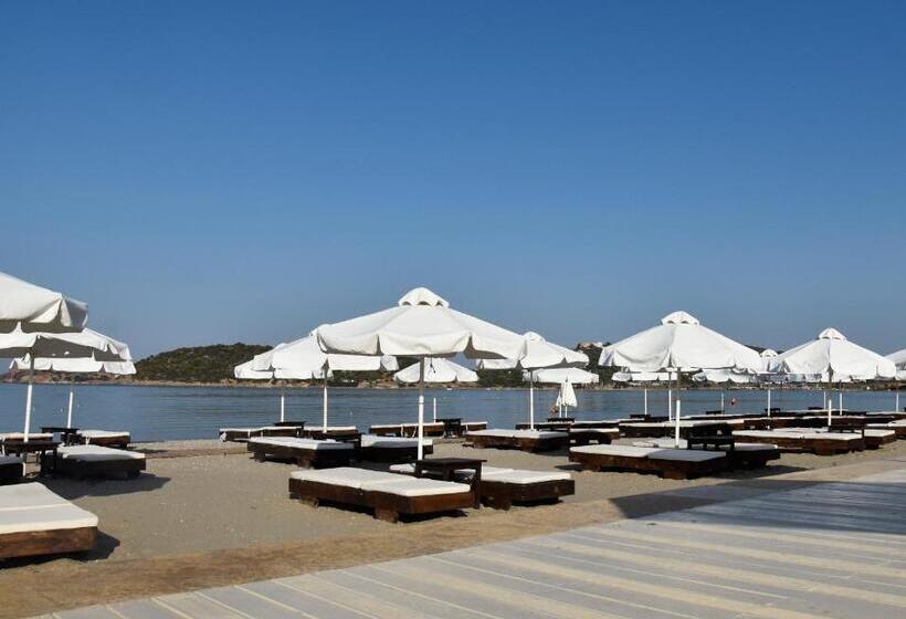 فندق Plaza Resort