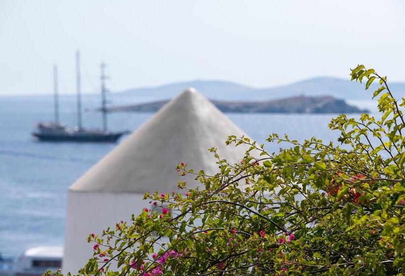 酒店 Porto Mykonos