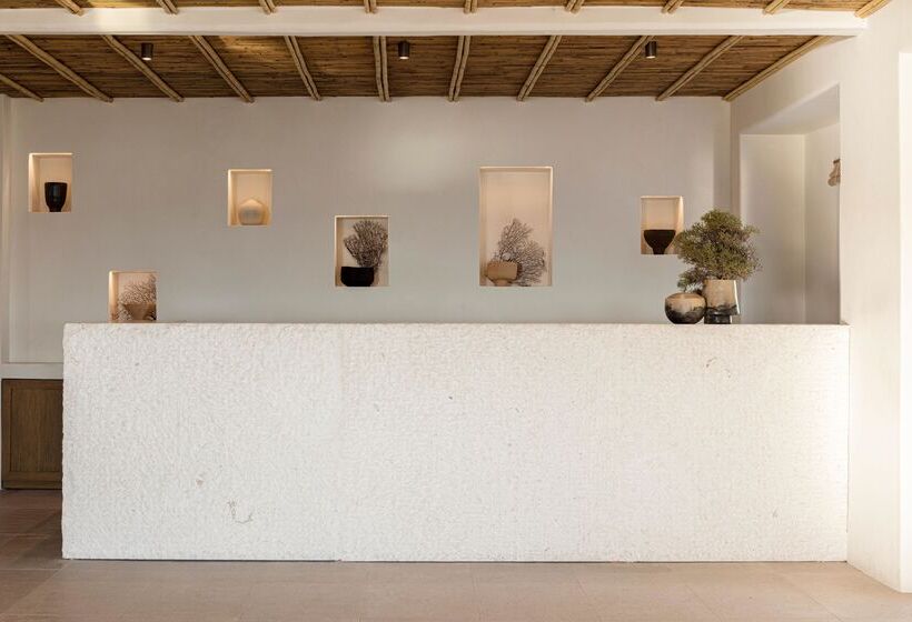 酒店 Porto Mykonos