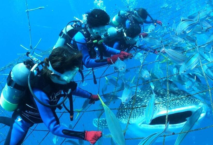 Rizzan Sea Park Hotel Tancha Bay