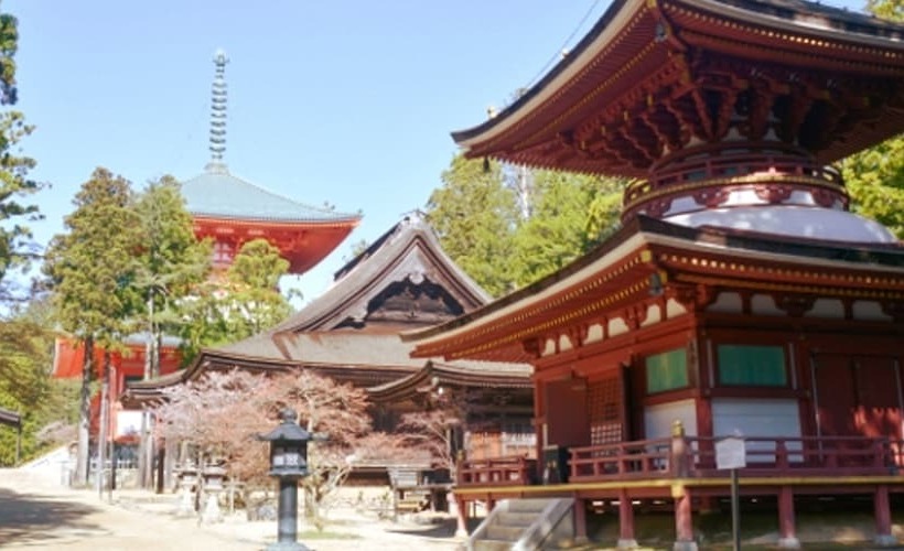 Smile Hotel Wakayama