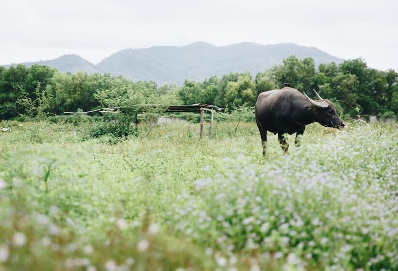 בית מלון כפרי Trisara Villas & Residences Phuket