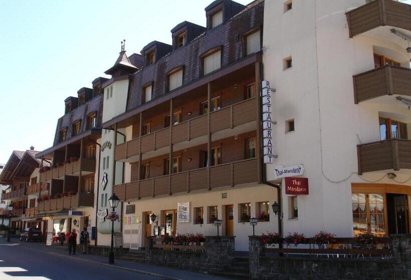 ホテル Viktoria Eden