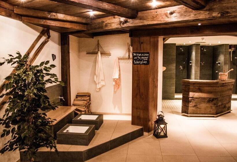 Отель Viktoria Eden