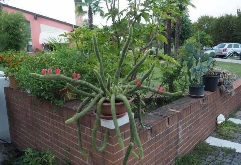 בית מלון כפרי Villa Isabela