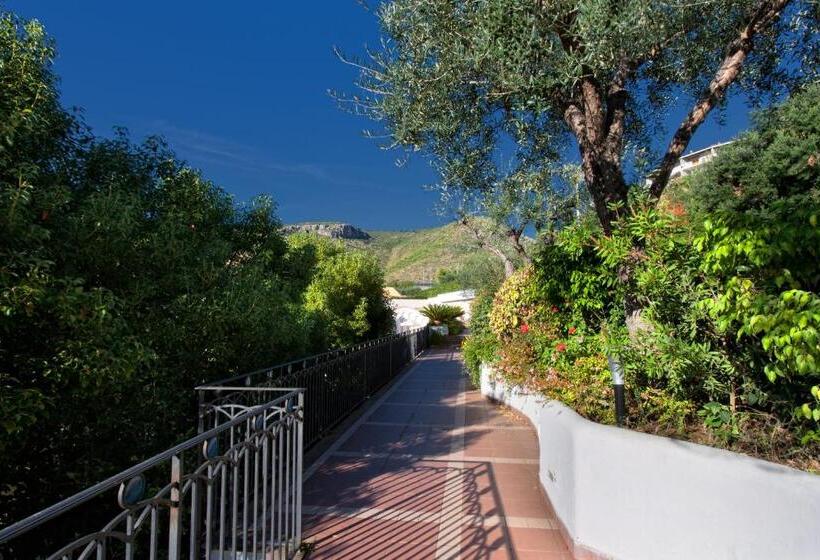 فندق Virgilio Grand