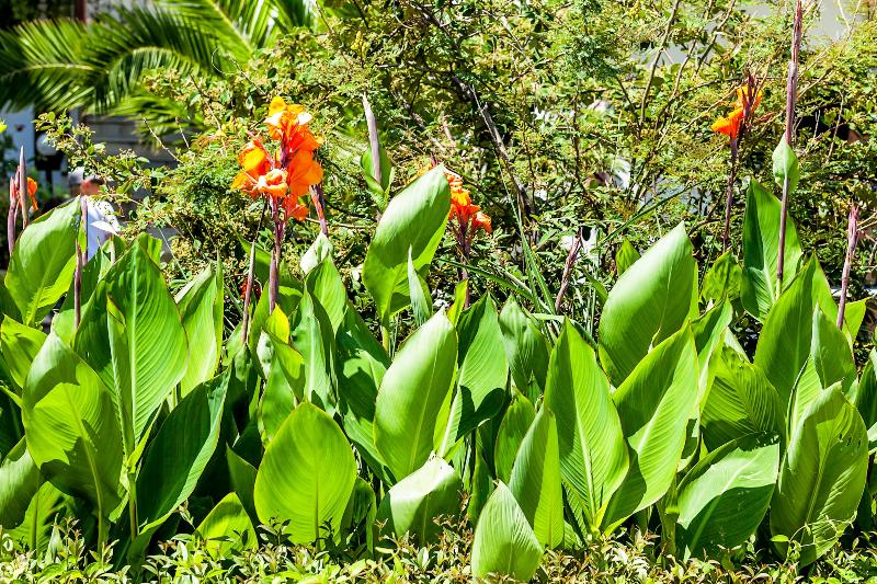 호텔 Xenios Dolphin Beach