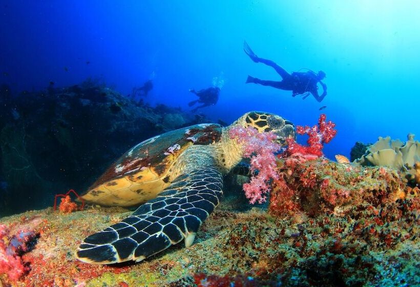 هتل Ayana Komodo Waecicu Beach