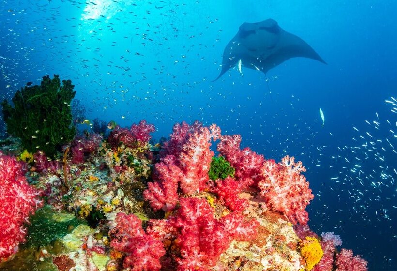 هتل Ayana Komodo Waecicu Beach