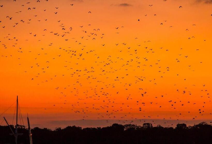 فندق Ayana Komodo Waecicu Beach