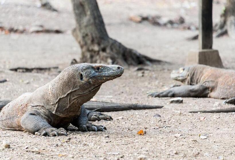 فندق Ayana Komodo Waecicu Beach