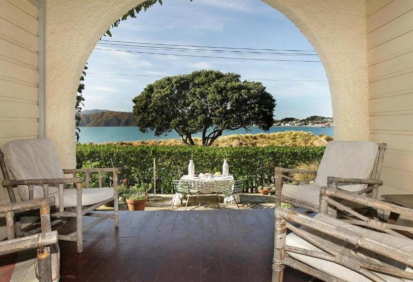 酒店 Beachfront Wellington Bed And Breakfast