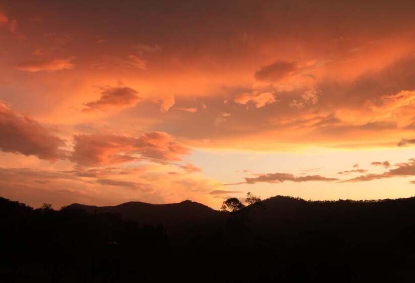 호텔 Greenlee Cottages