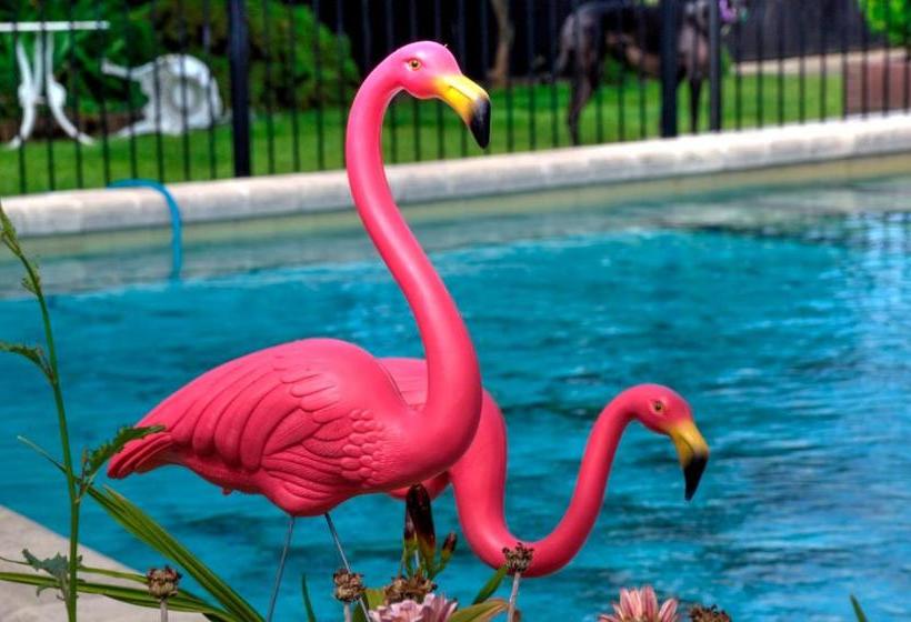 בית מלון כפרי Kerry Lodge