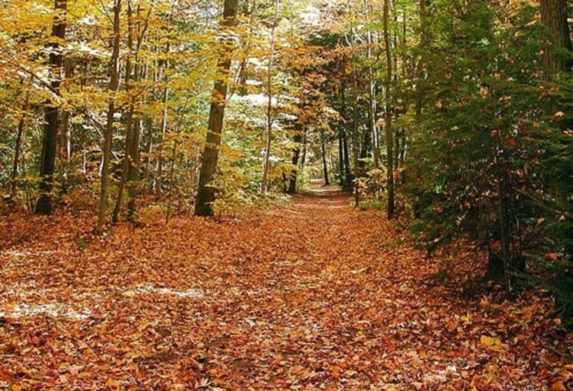 هتل L Auberge Du Lac St Pierre