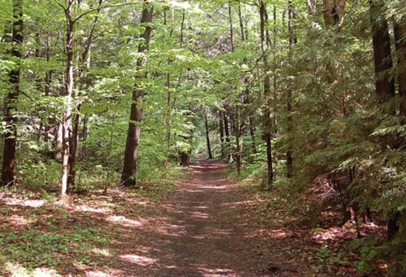 هتل L Auberge Du Lac St Pierre