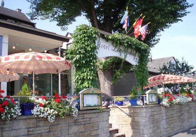 Отель Lindenhof