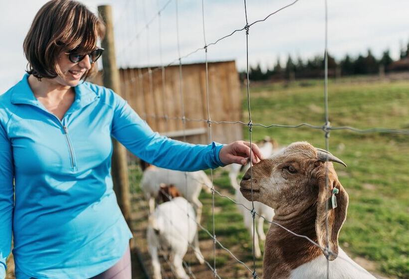 호텔 Mt Cook Lakeside Retreat