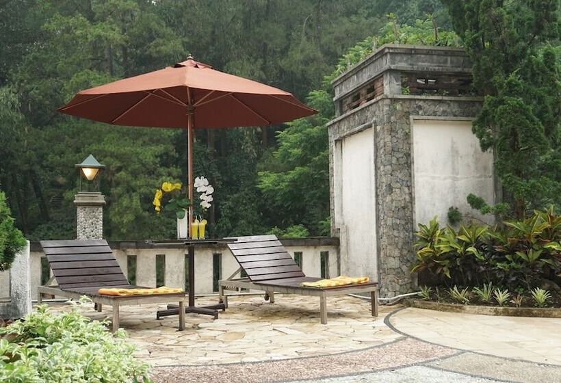 호텔 Pines Garden Resort