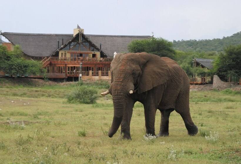 호텔 Tau Game Lodge