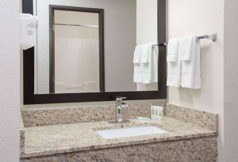 בית מלון כפרי Americinn By Wyndham Mount Pleasant