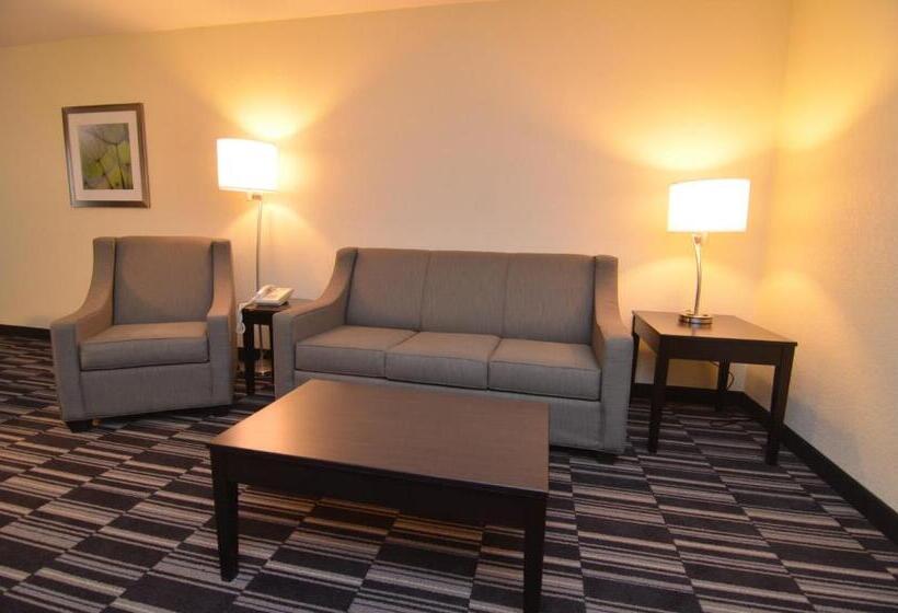 בית מלון כפרי Americinn By Wyndham Mount Pleasant