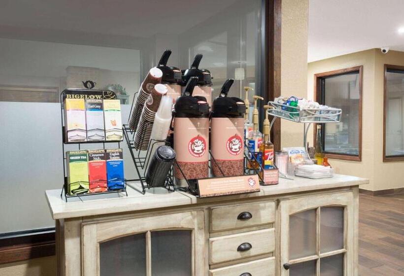 בית מלון כפרי Americinn By Wyndham Mount Pleasant