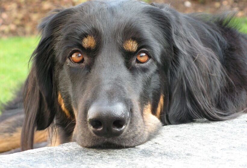 Best Western Hotel Bremen City