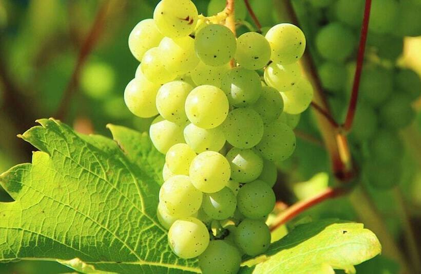 Best Western Hotel Halle Merseburg