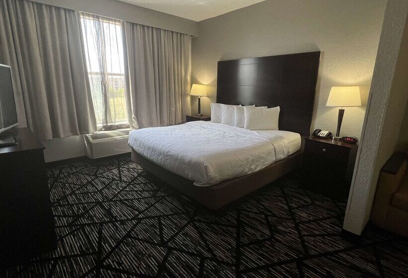 فندق Best Western Plus Hobby Airport Inn And Suites