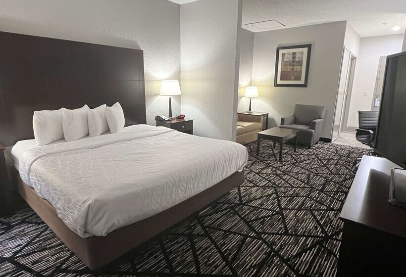 هتل Best Western Plus Hobby Airport Inn And Suites