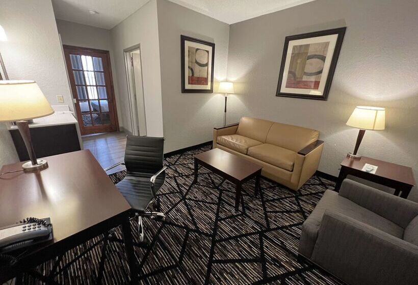 فندق Best Western Plus Hobby Airport Inn And Suites