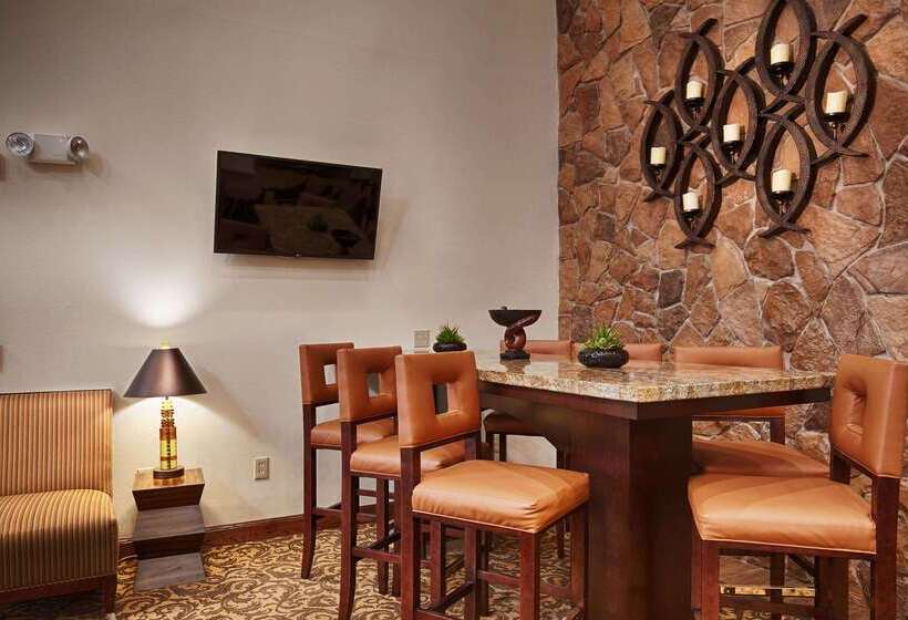 هتل Best Western Plus Hobby Airport Inn And Suites
