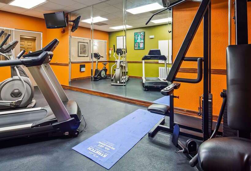 فندق Best Western Plus Hobby Airport Inn And Suites