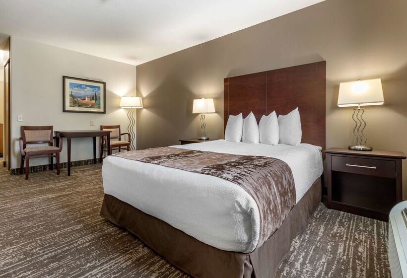 فندق Best Western Plus Pembina Inn & Suites