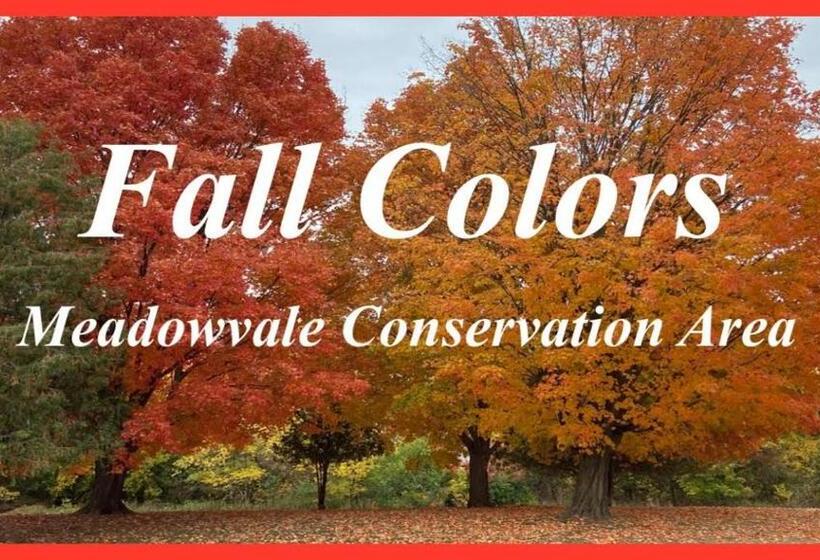 فندق Cambridge Suites Mississauga