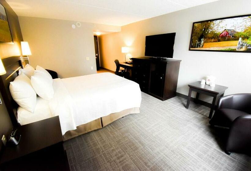 בית מלון כפרי Canad Inns Destination Centre Club Regent Casino