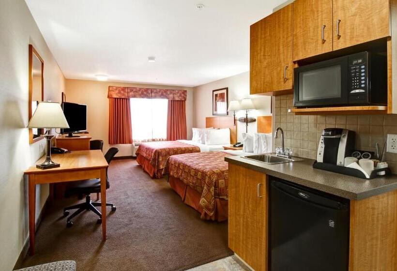 בית מלון כפרי Canalta Rocky Mountain House