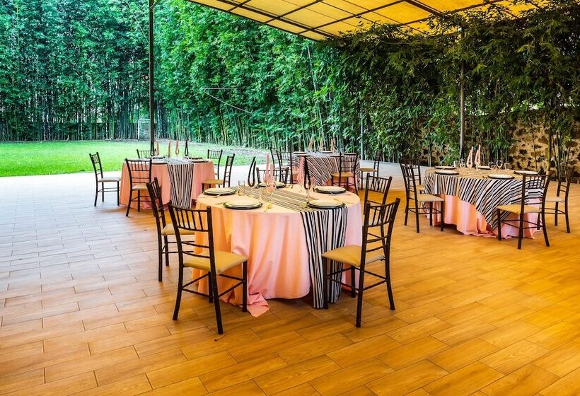 Capital O Hotel Central, Xalapa