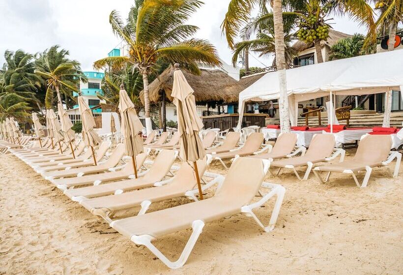 ホテル Capital O Mimi Del Mar, Playa Del Carmen