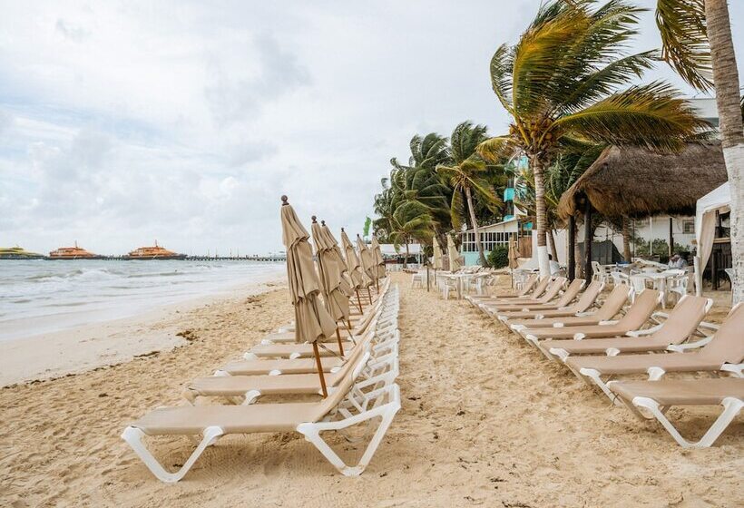 ホテル Capital O Mimi Del Mar, Playa Del Carmen