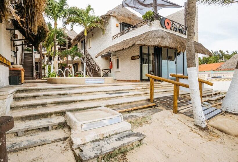 ホテル Capital O Mimi Del Mar, Playa Del Carmen