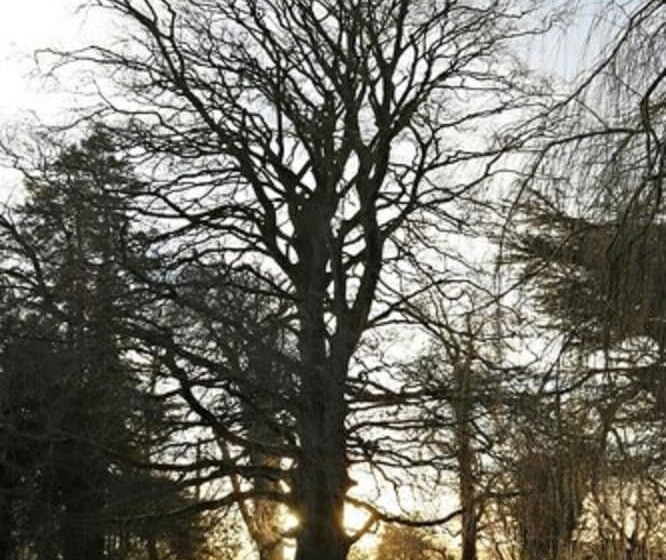 فندق Chiseldon House