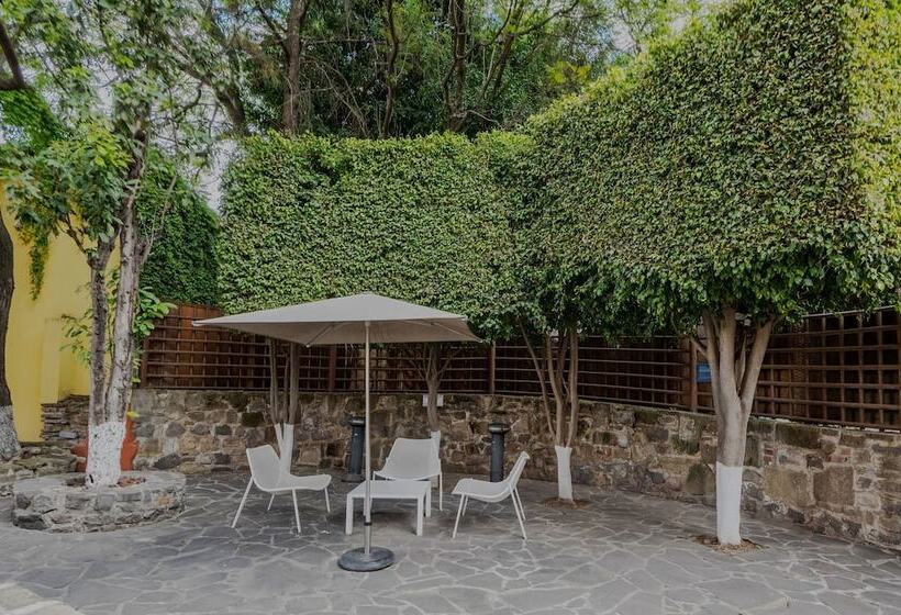 ホテル City Express By Marriott Puebla Centro