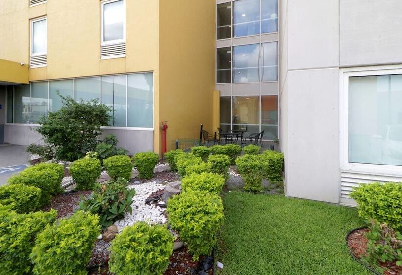 هتل City Express By Marriott Nuevo Laredo