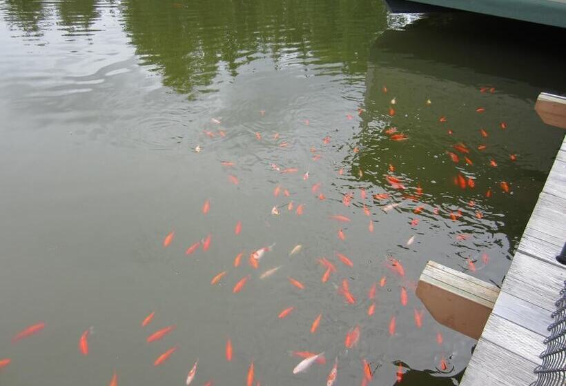 בית מלון כפרי Clearwater Valley Resort