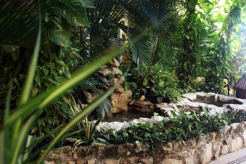 酒店 Colibri Beach